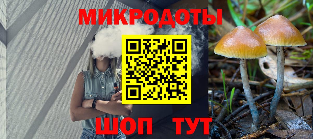 Новосибирск  Галлюциногенные грибы GOLDEN TEACHER  Вход с VPN 