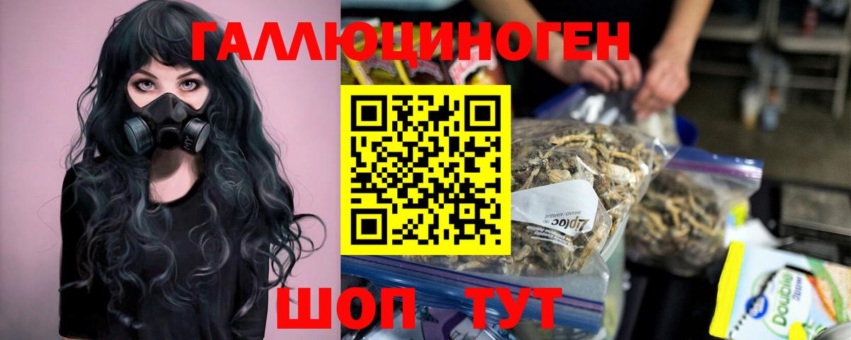 Псилоцибиновые грибы мицелий Новосибирск